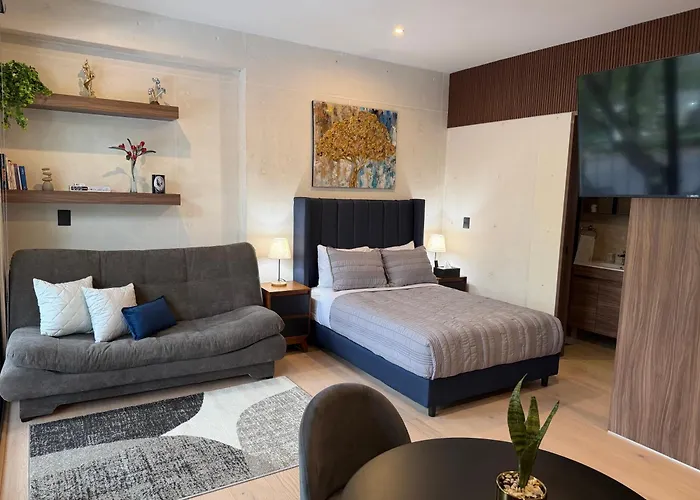 Hotel Bc102 Roma Loft With Balcony, Fast Wifi & Terrace Mexiko-Stadt